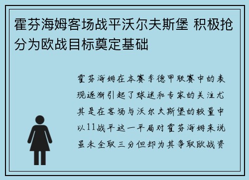 霍芬海姆客场战平沃尔夫斯堡 积极抢分为欧战目标奠定基础