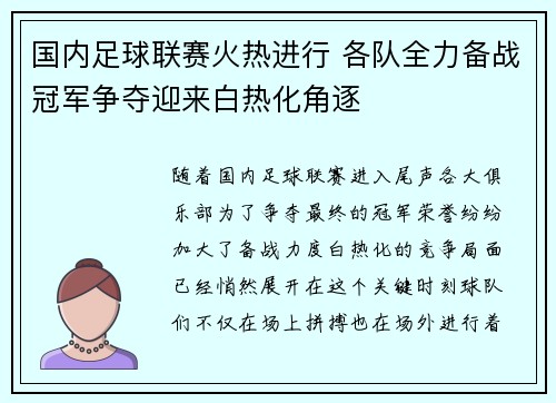 国内足球联赛火热进行 各队全力备战冠军争夺迎来白热化角逐