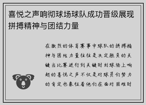 喜悦之声响彻球场球队成功晋级展现拼搏精神与团结力量