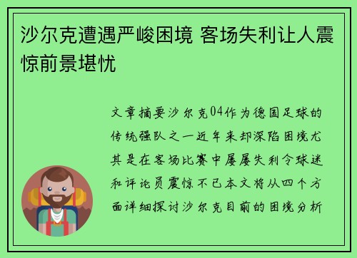 沙尔克遭遇严峻困境 客场失利让人震惊前景堪忧