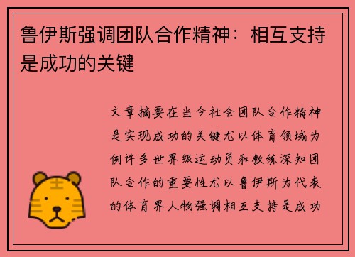 鲁伊斯强调团队合作精神：相互支持是成功的关键